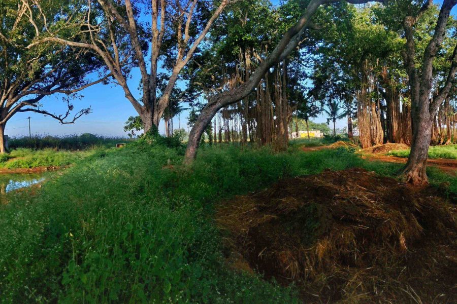 Panorama-Shot-Nature-nuthana-raaga