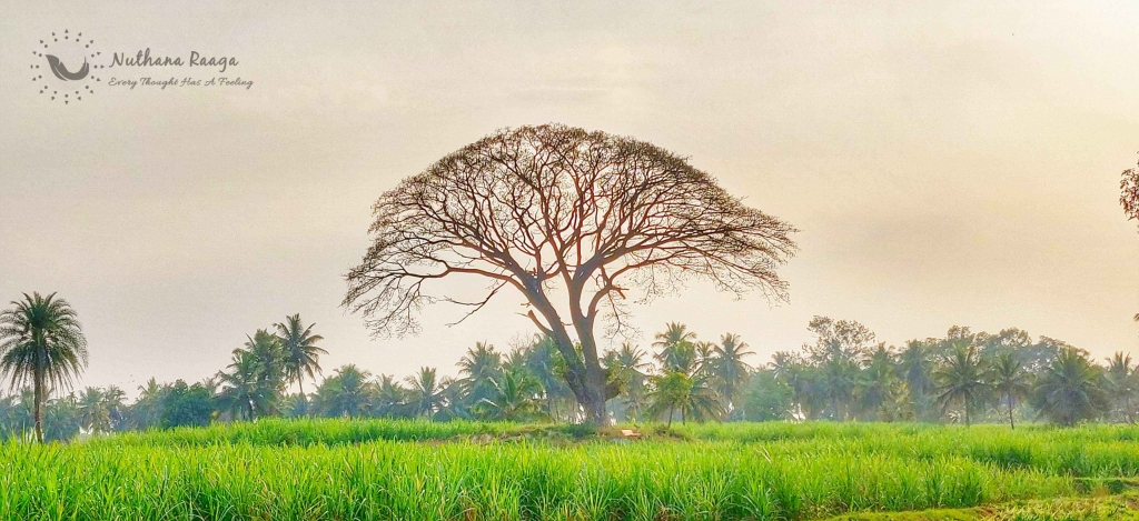 mysore-landscape-photography