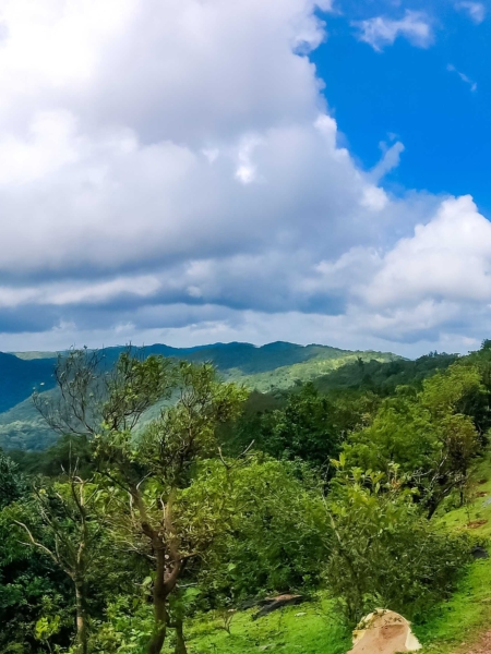 Panorama-Shot-Nature-nuthana-raaga