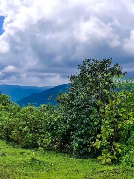 Panorama-Shot-Nature-nuthana-raaga