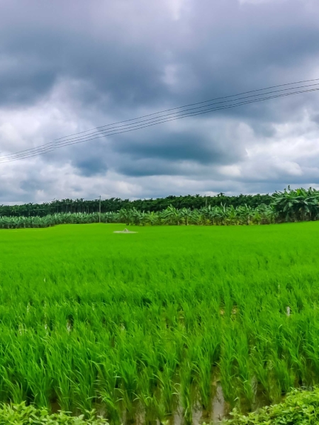 Panorama-Shot-Nature-nuthana-raaga