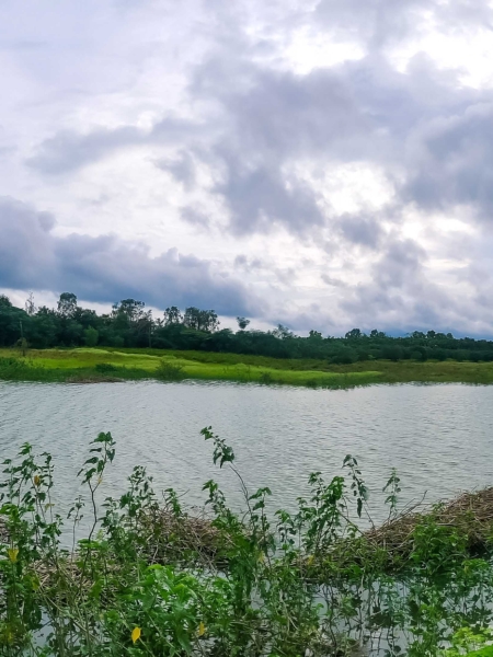 Panorama-Shot-Nature-nuthana-raaga