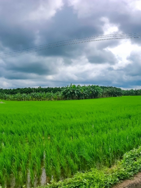 Panorama-Shot-Nature-nuthana-raaga